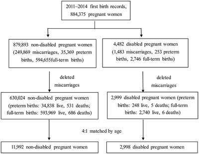 Comparison of the use of prenatal care services and the risk of preterm birth between pregnant women with disabilities and those without disabilities: A nationwide cohort study